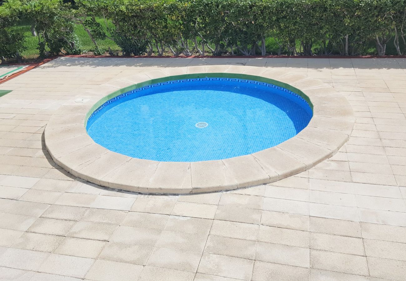 Apartment in Gandía - ROMA XII - 3ª - 3º - 5ª