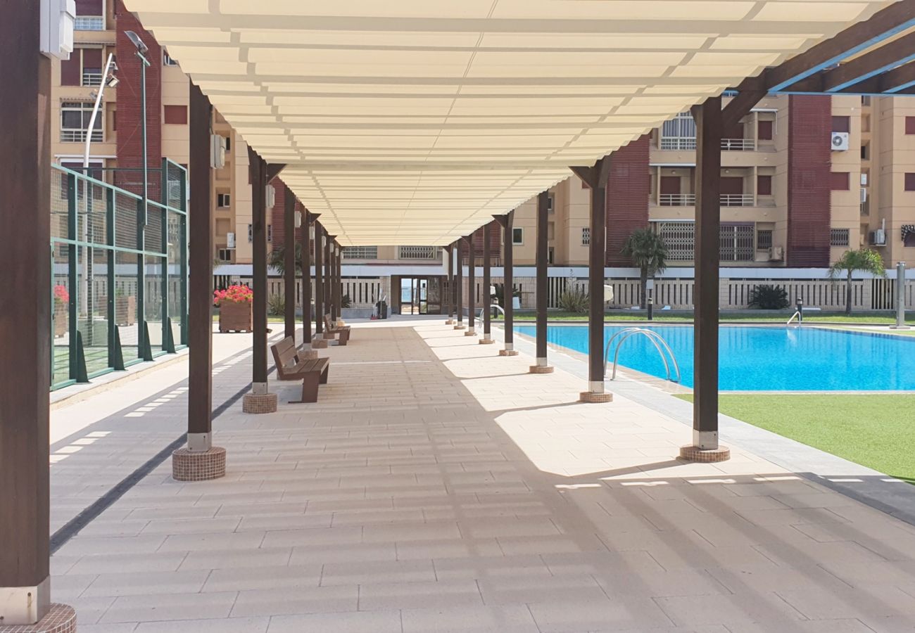 Apartment in Gandía - BERMUDAS 5ª - 6º - I