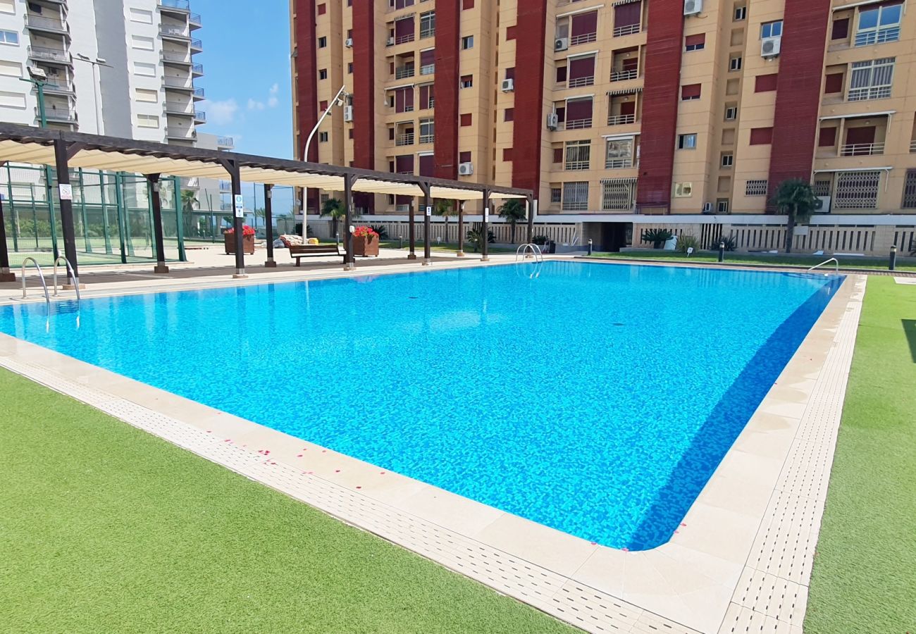 Apartment in Gandía - BERMUDAS 5ª - 6º - I