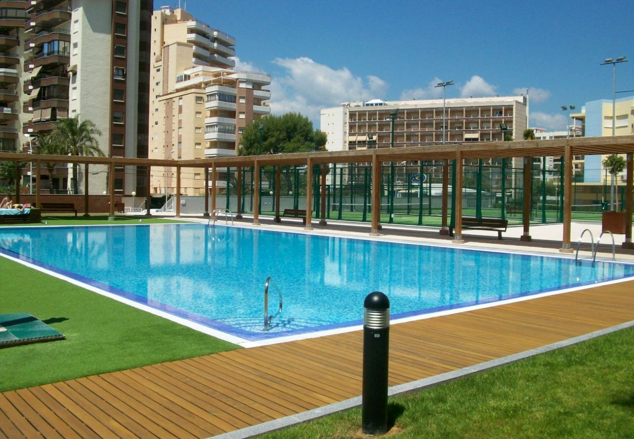 Apartment in Gandía - BERMUDAS 5ª - 6º - I