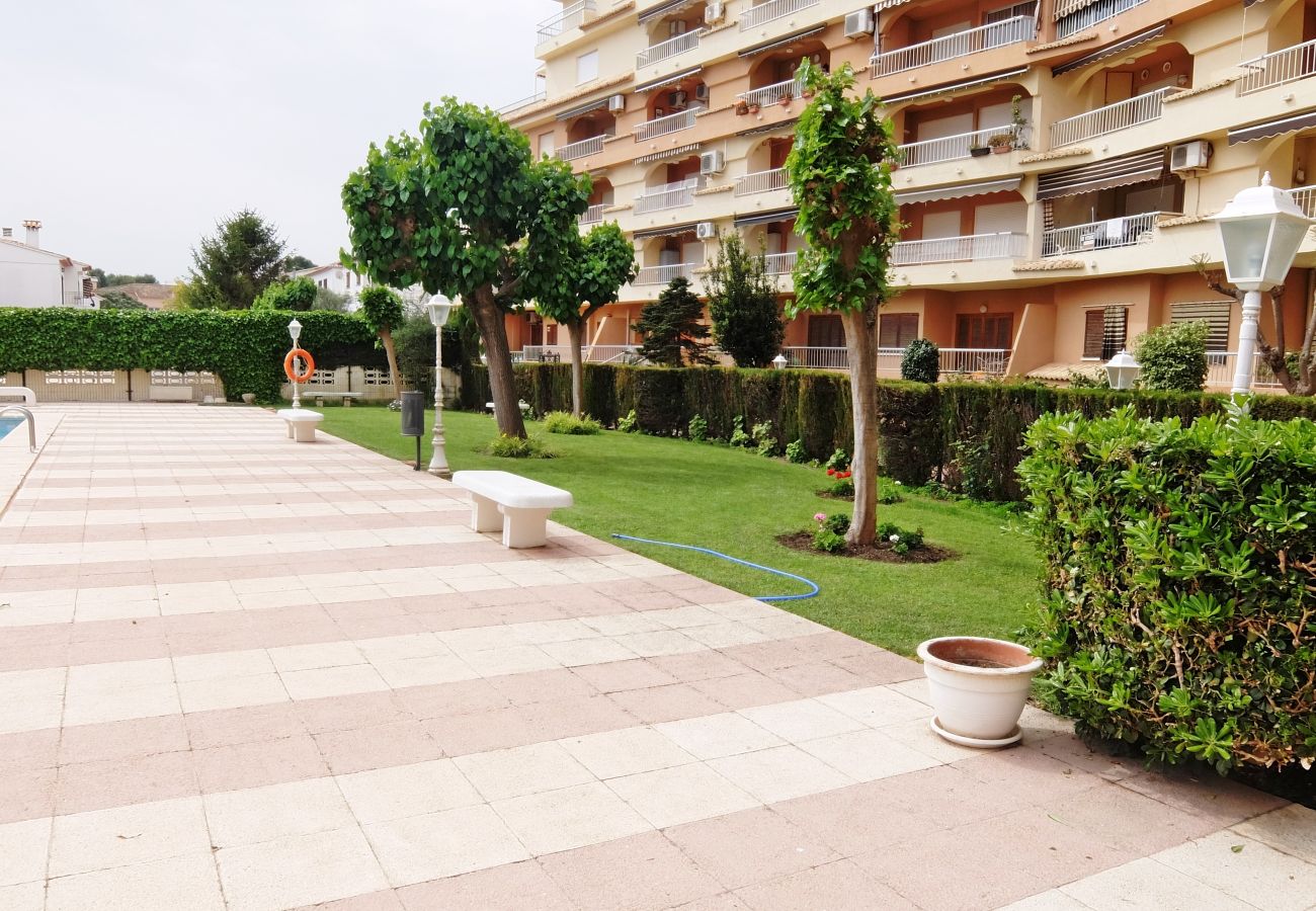 Apartment in Gandía - LOS IRIS TORRE 4º - 13