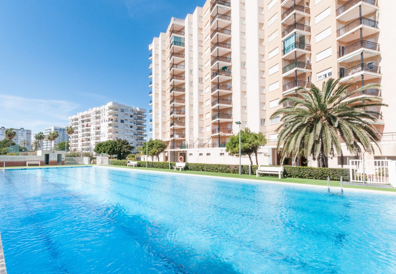Apartment in Playa de Gandía - 50. AG PRESIDENTE 3A-2