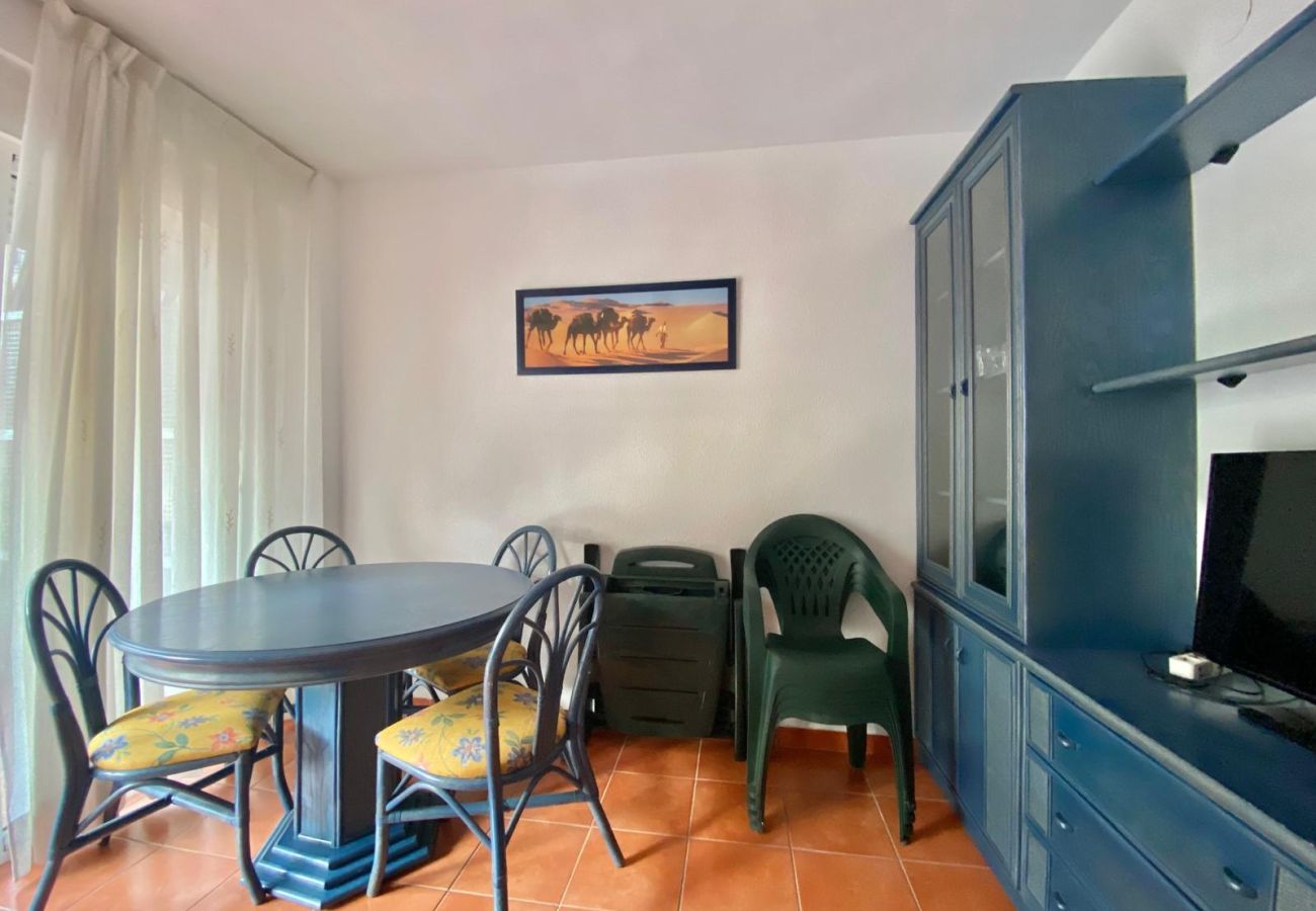 Apartment in Playa de Gandía - 1.El Cisne 2-4º