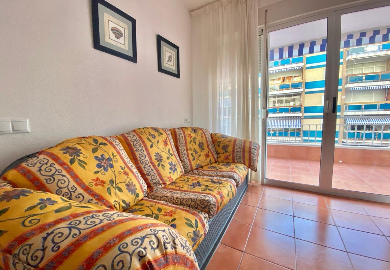Apartment in Playa de Gandía - 1.El Cisne 2-4º