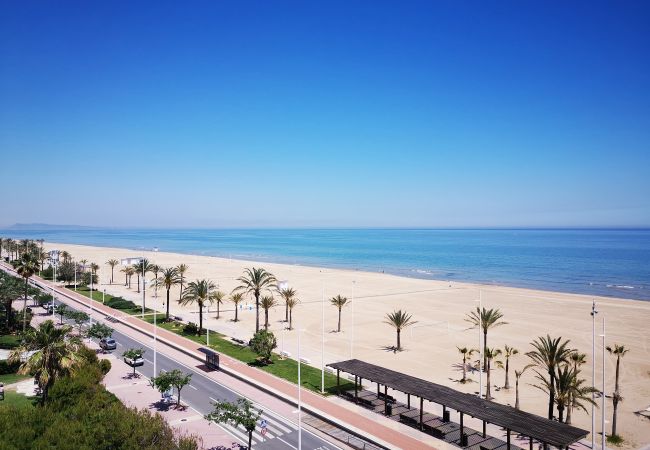  in Gandia - XIPHO 5º - D