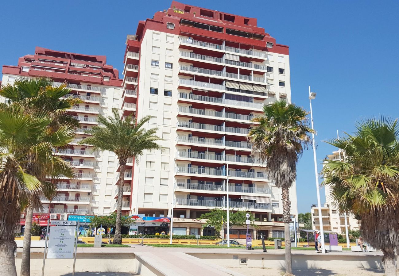 Apartment in Gandía - XIPHO 5º - D