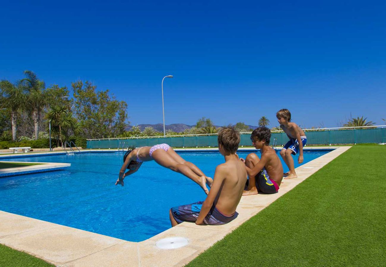 Apartment in Playa de Gandía - 42. AG AIGUABLAVA 8-7-15