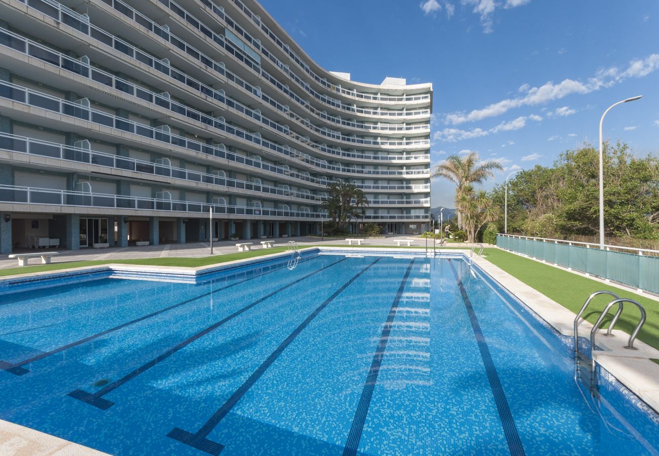 Apartment in Playa de Gandía - 42. AG AIGUABLAVA 8-7-15