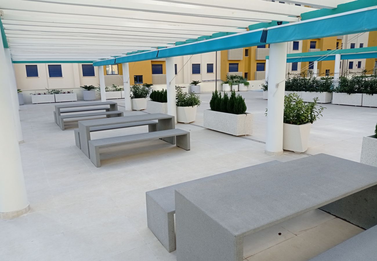 Apartment in Playa de Gandía - 1.Devesa Park esc.X 8º pta.15