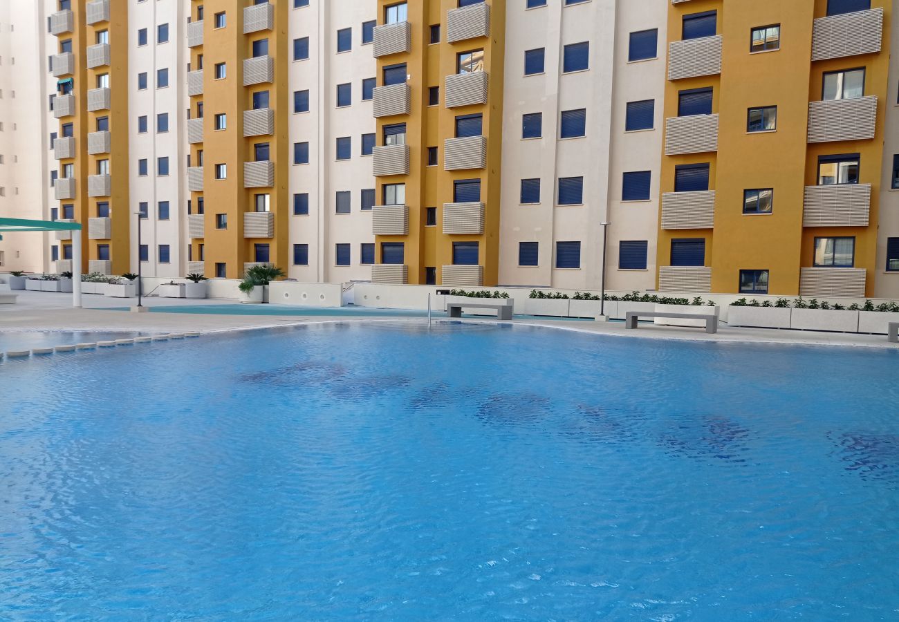 Apartment in Playa de Gandía - 1.Devesa Park esc.X 8º pta.15