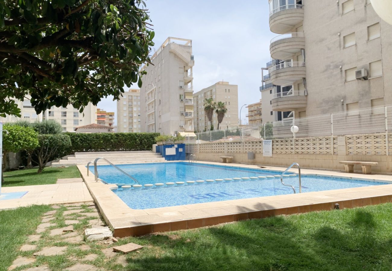 Apartment in Gandía - GOLETA IV - 3ª - 8º - IZQ