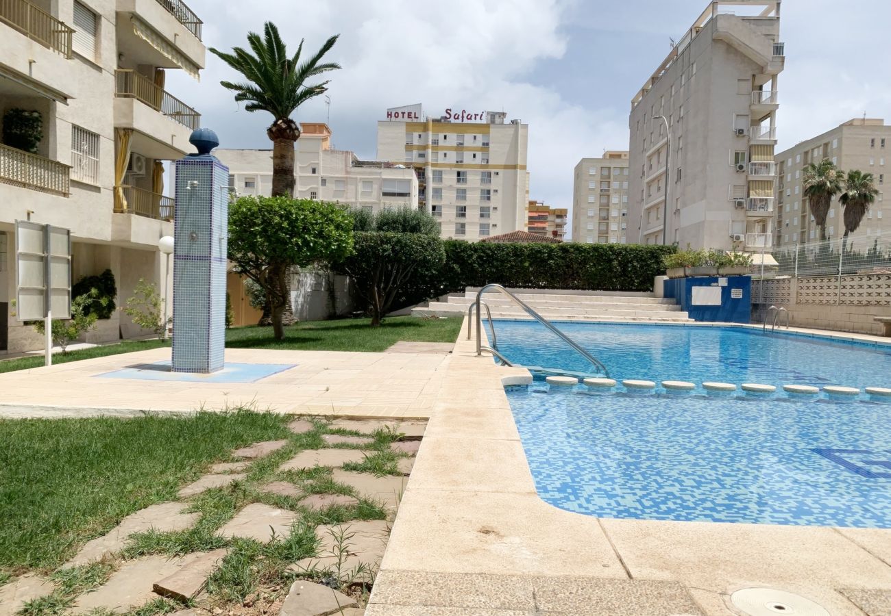 Apartment in Gandía - GOLETA IV - 3ª - 8º - IZQ