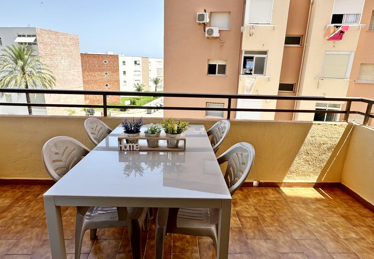 Apartment in Gandía - LAS OLAS 4º - 11ª