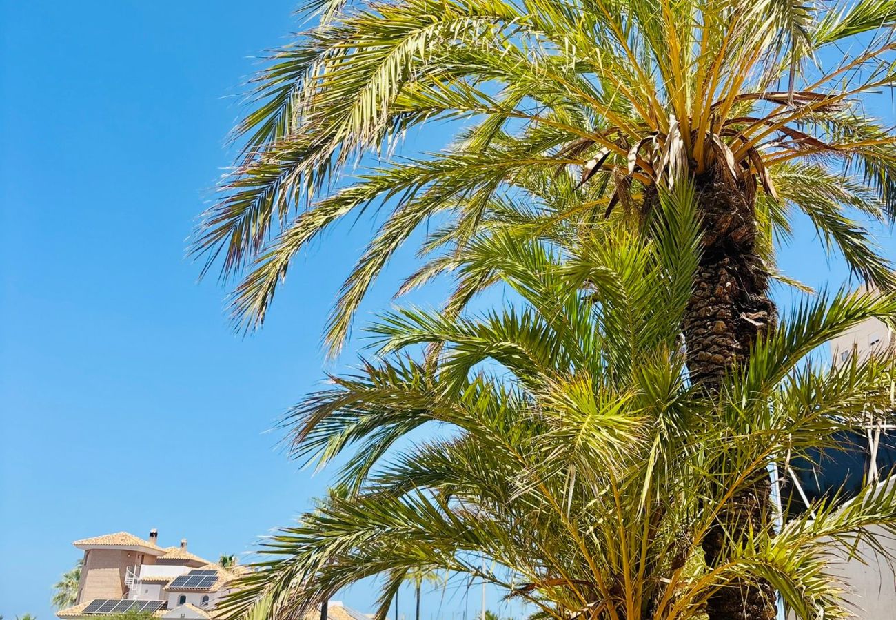 Apartment in La Manga del Mar Menor - Aldeas taray 372 Admer