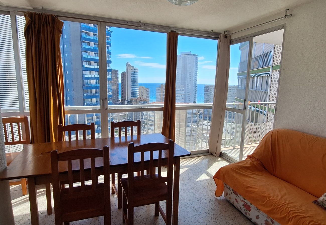 Apartment in Benidorm - FLECHA 13D (3 DORMITORIOS)