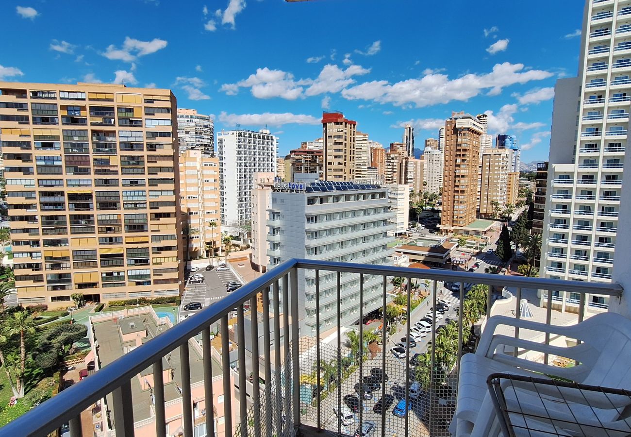 Apartment in Benidorm - FLECHA 13D (3 DORMITORIOS)