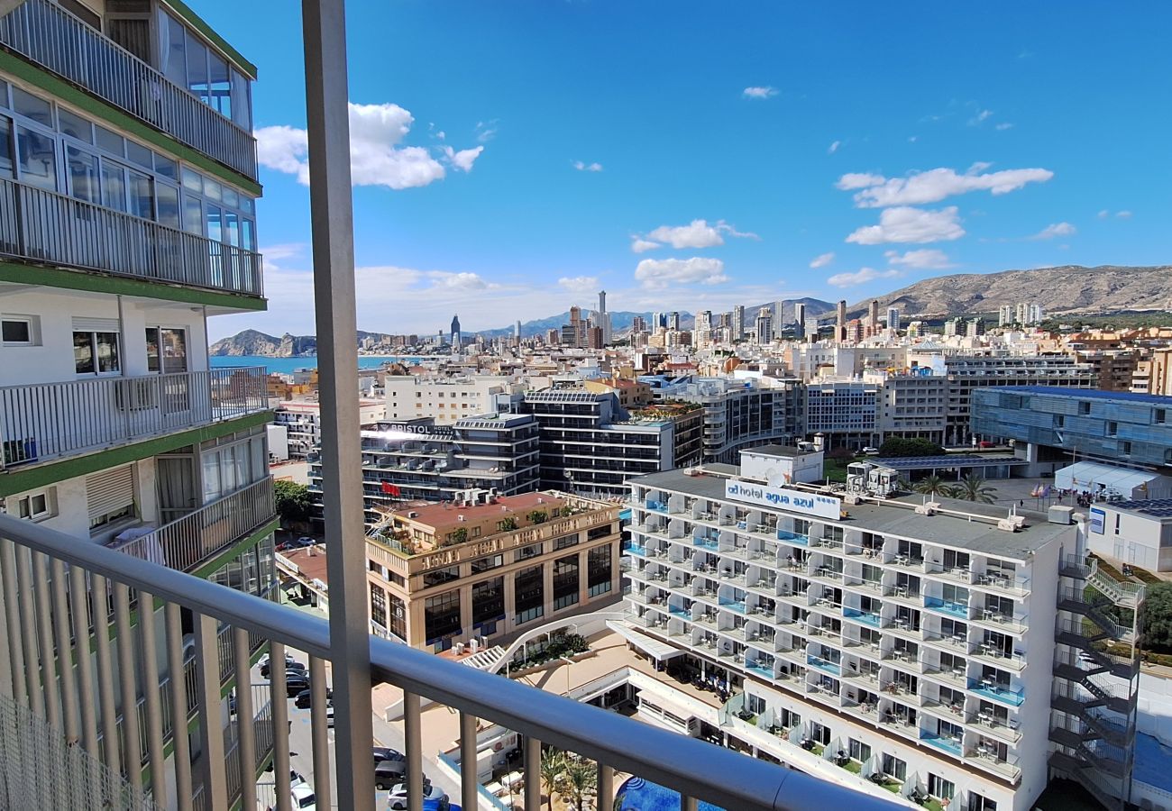 Apartment in Benidorm - FLECHA 13D (3 DORMITORIOS)