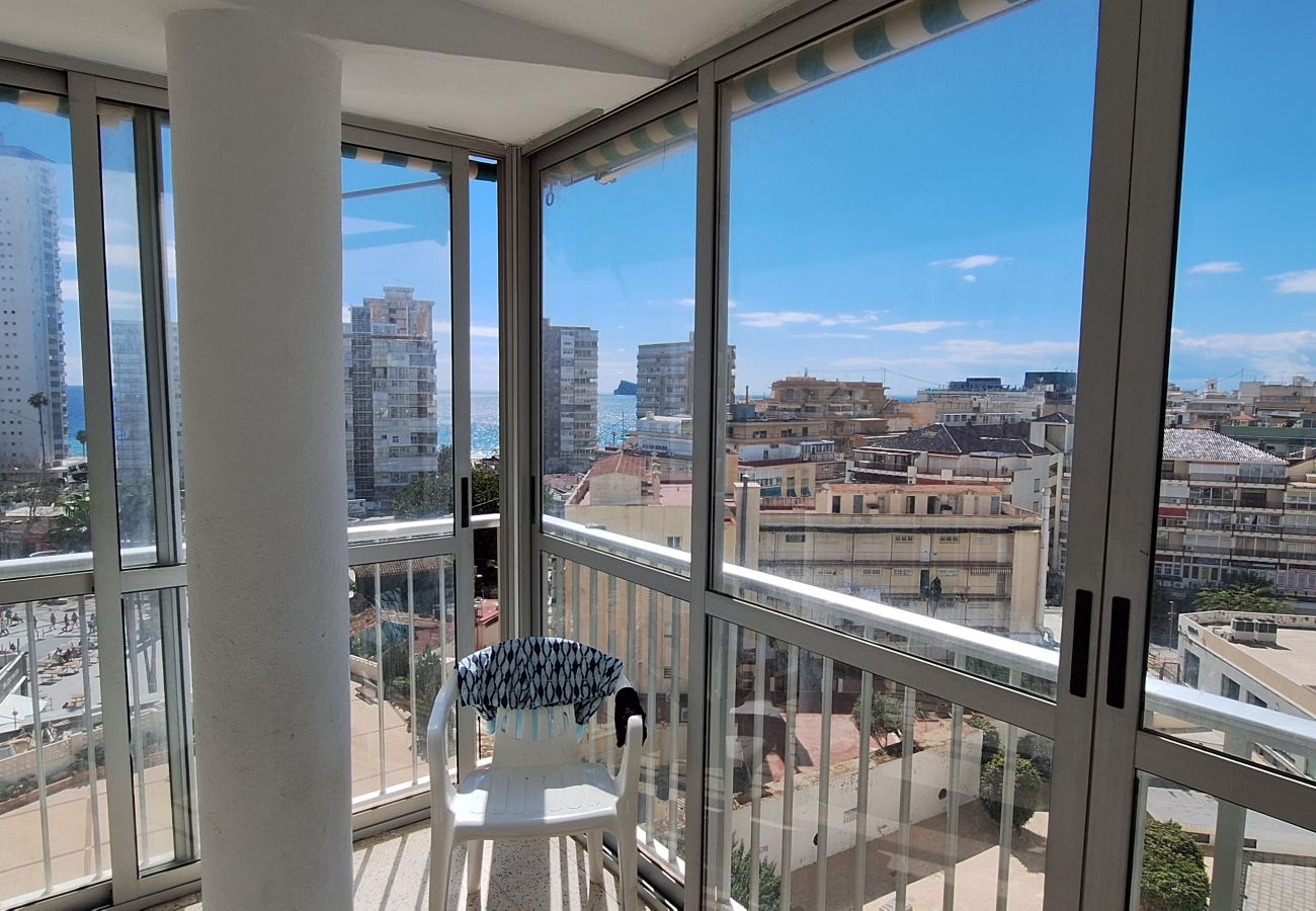 Apartment in Benidorm - FLECHA 13D (3 DORMITORIOS)