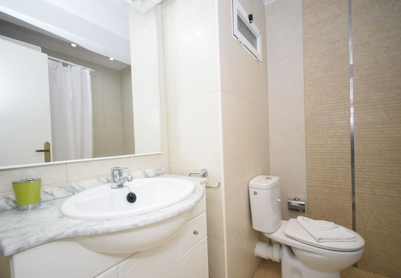 Apartment in Benidorm - FLECHA 13D (3 DORMITORIOS)