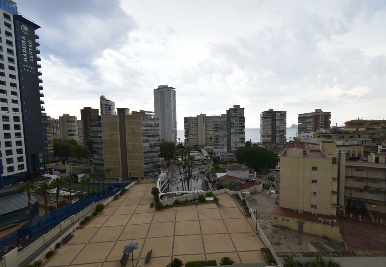 Apartment in Benidorm - FLECHA 13D (3 DORMITORIOS)