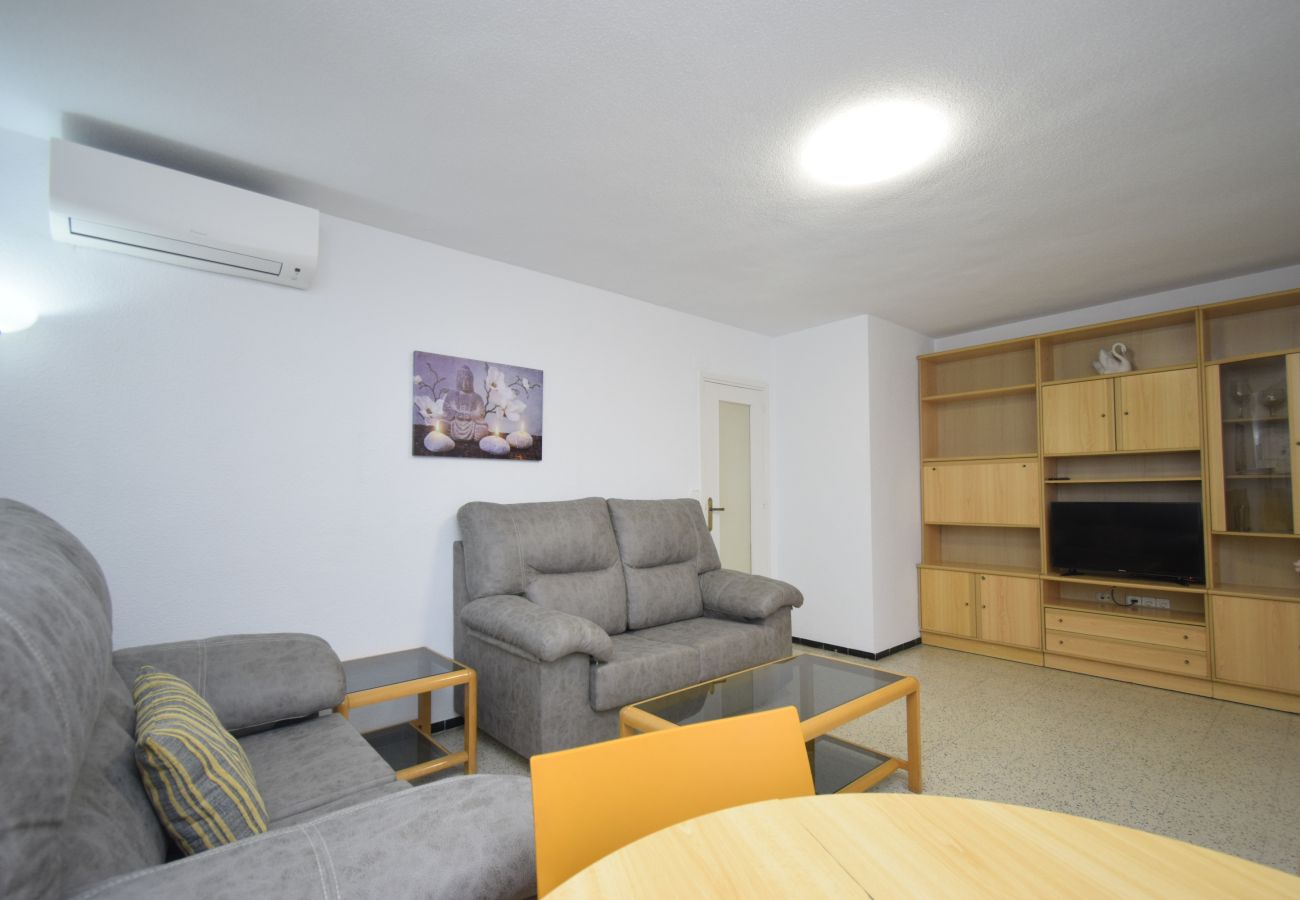 Apartment in Benidorm - FLECHA 13D (3 DORMITORIOS)