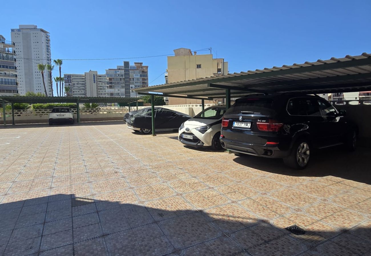Apartment in Benidorm - FLECHA 13D (3 DORMITORIOS)