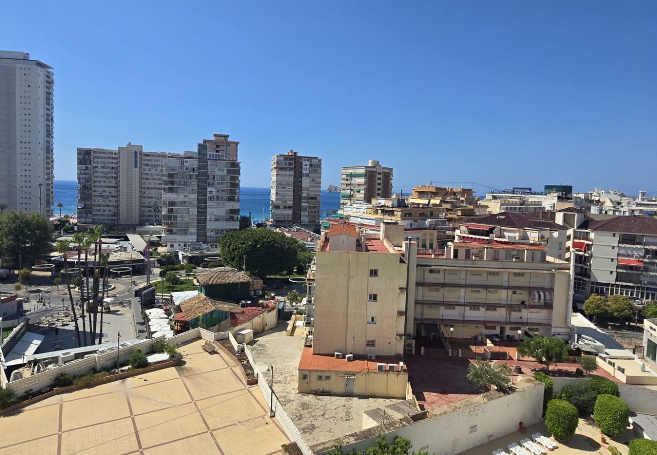 Apartment in Benidorm - FLECHA 13D (3 DORMITORIOS)