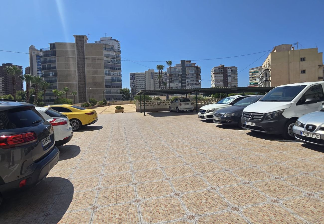 Apartment in Benidorm - FLECHA 13D (3 DORMITORIOS)