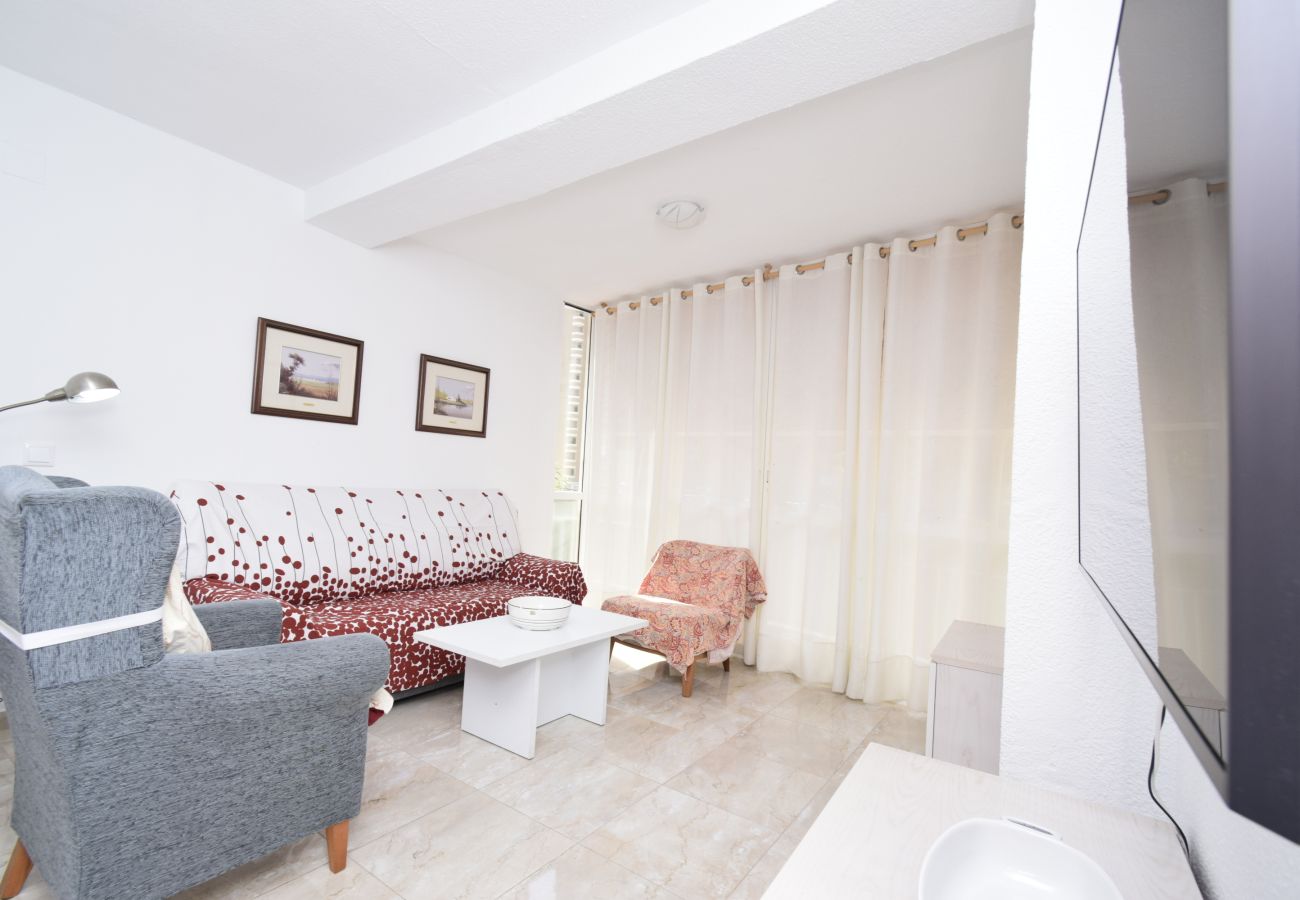 Apartment in Benidorm - ALLONAYA D 2-6
