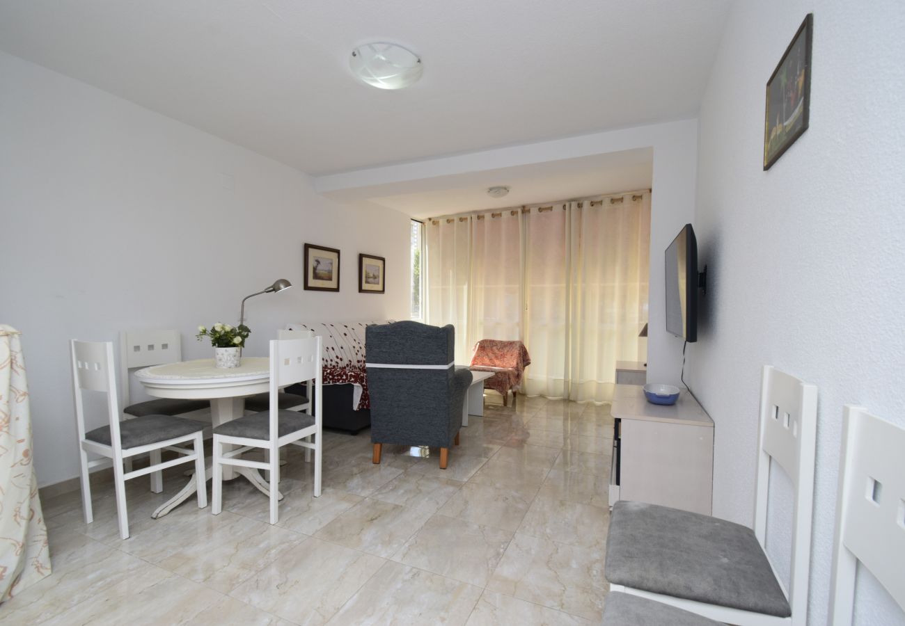 Apartment in Benidorm - ALLONAYA D 2-6