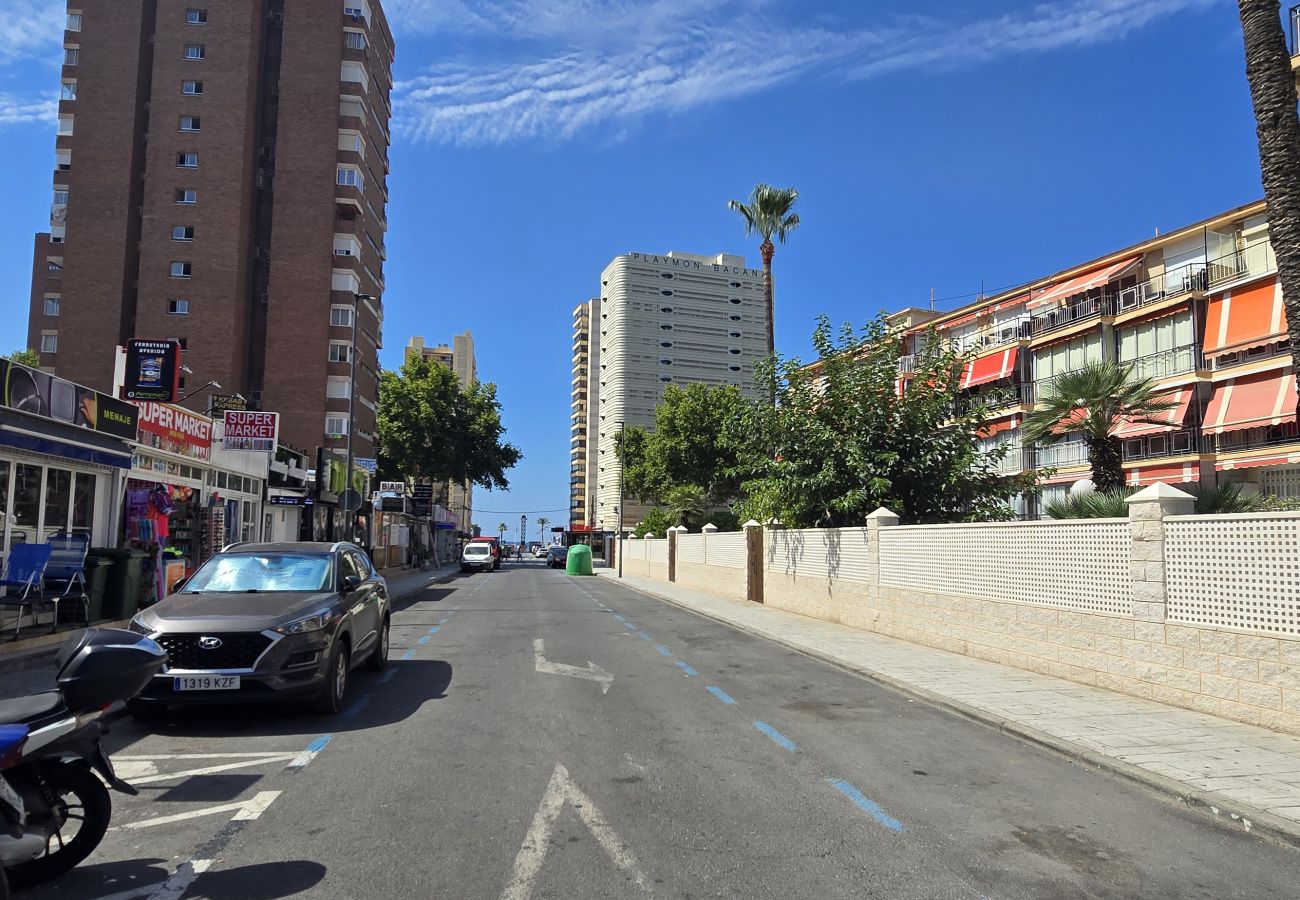 Apartment in Benidorm - ALLONAYA D 2-6