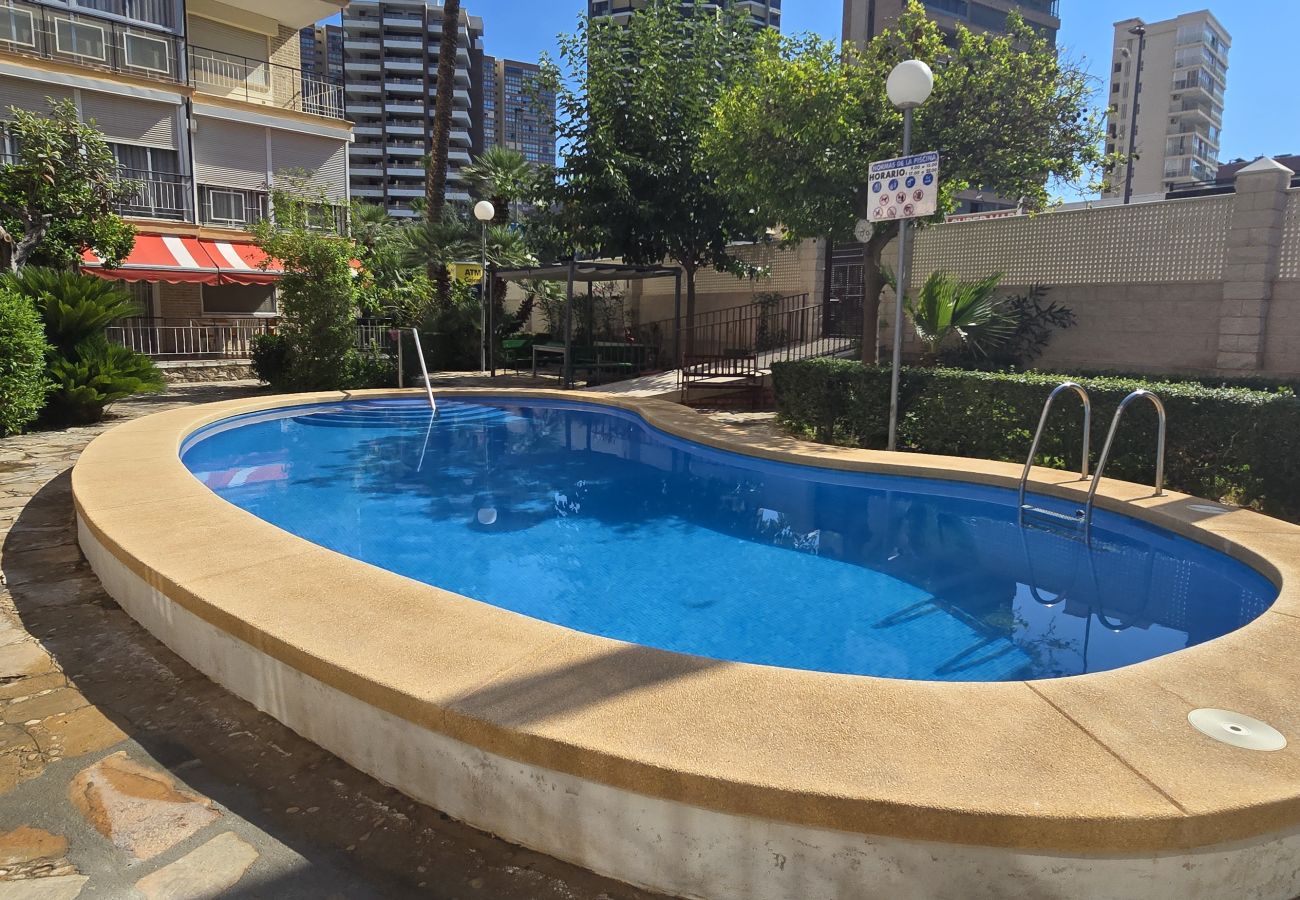 Apartment in Benidorm - ALLONAYA D 2-6