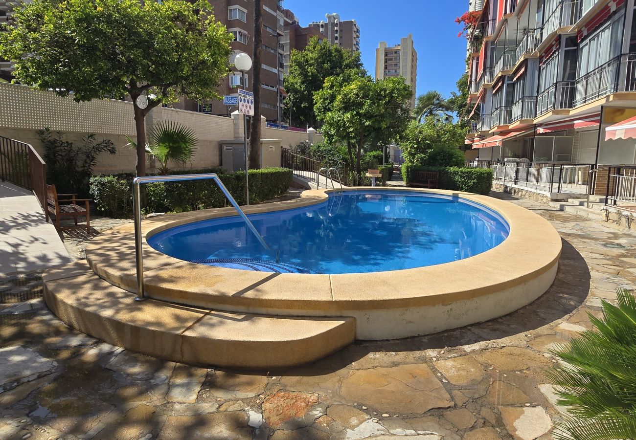 Apartment in Benidorm - ALLONAYA D 2-6