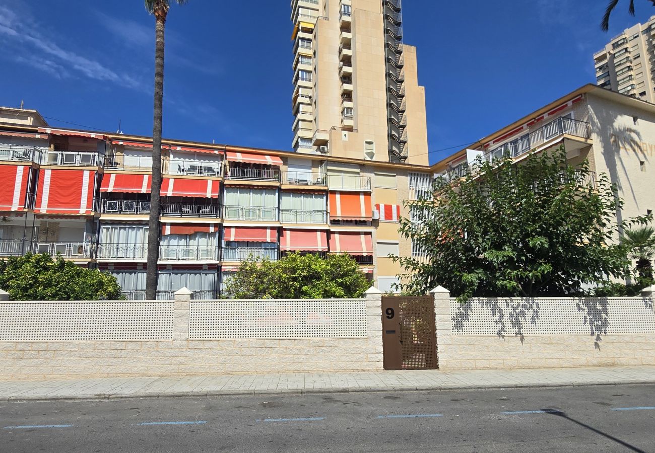 Apartment in Benidorm - ALLONAYA D 2-6