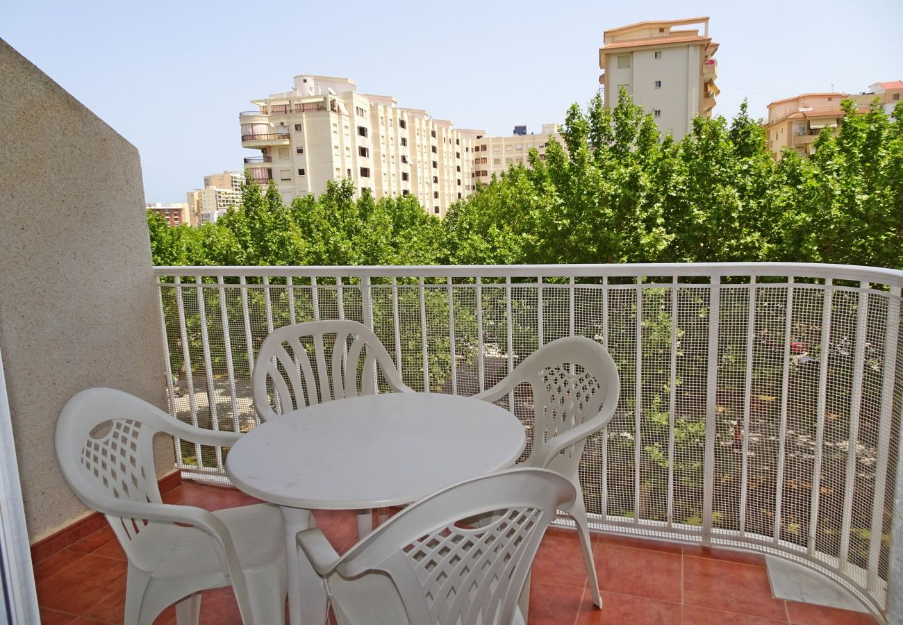 Apartment in Gandía - BITACORA VI - 4º - E
