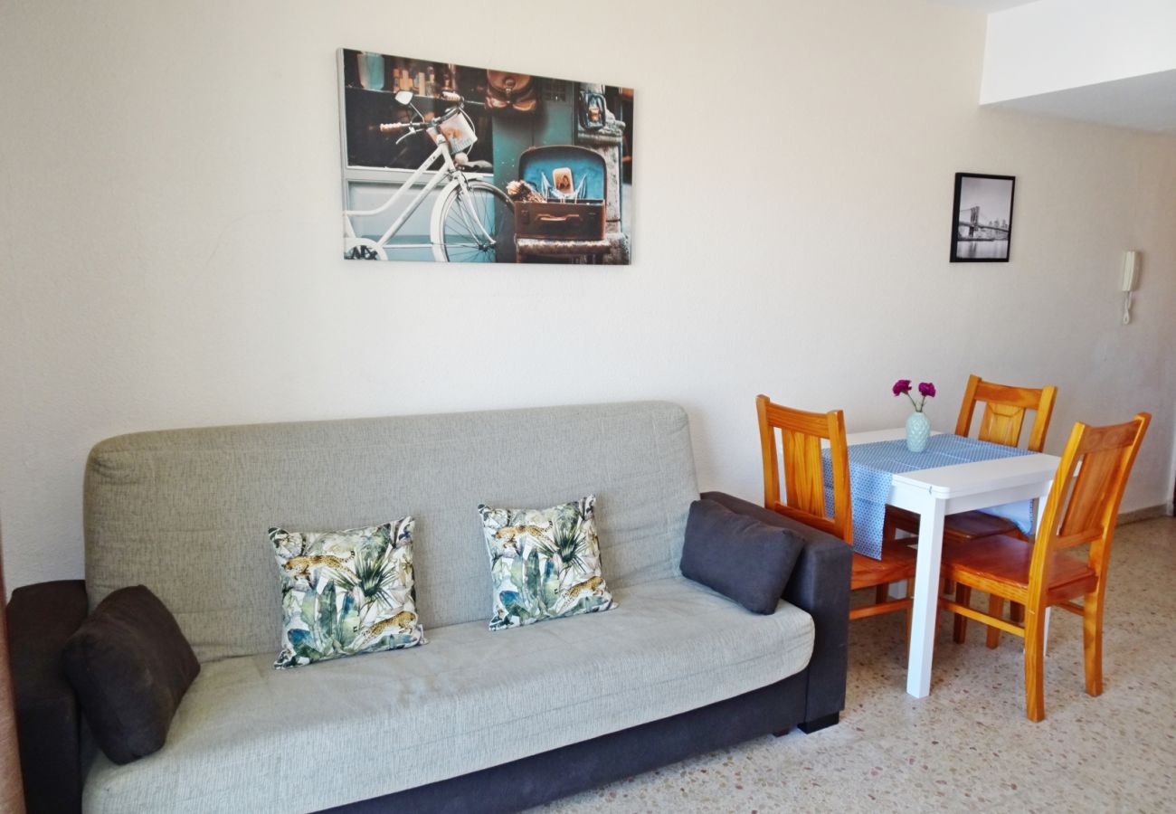 Apartment in Gandía - BONAIRE E9 - 9º