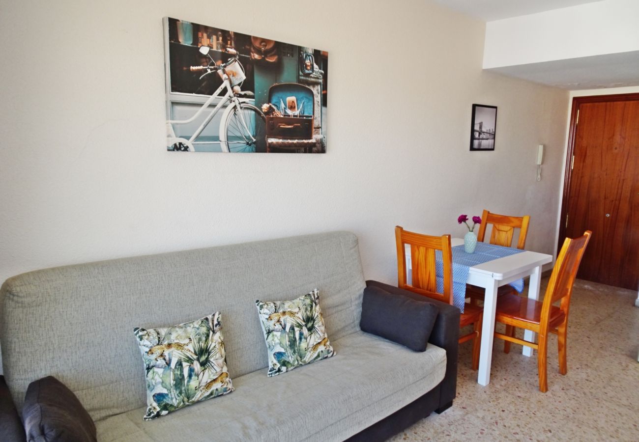 Apartment in Gandía - BONAIRE E9 - 9º