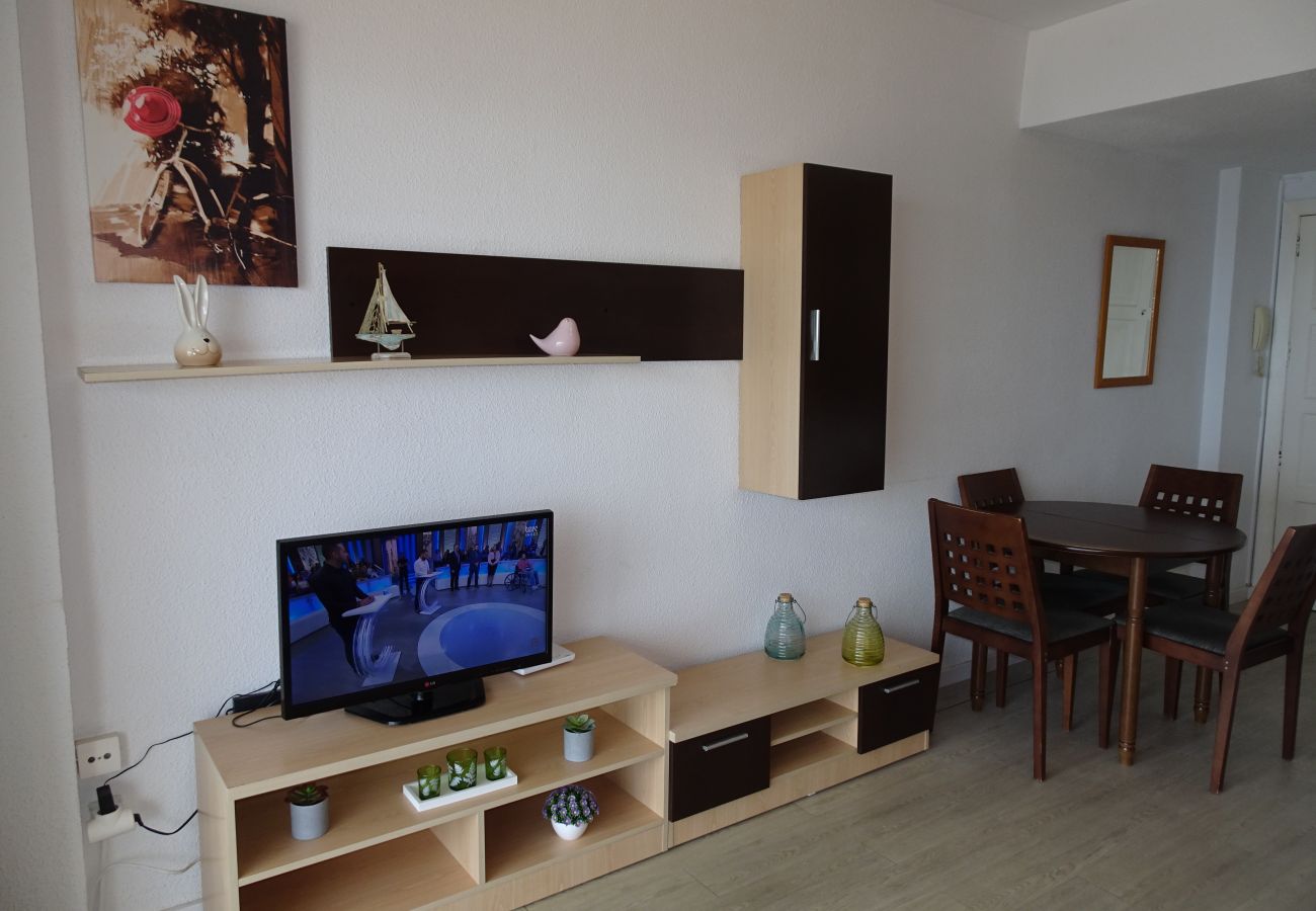 Apartment in Gandía - INFANTE E2 - 12º