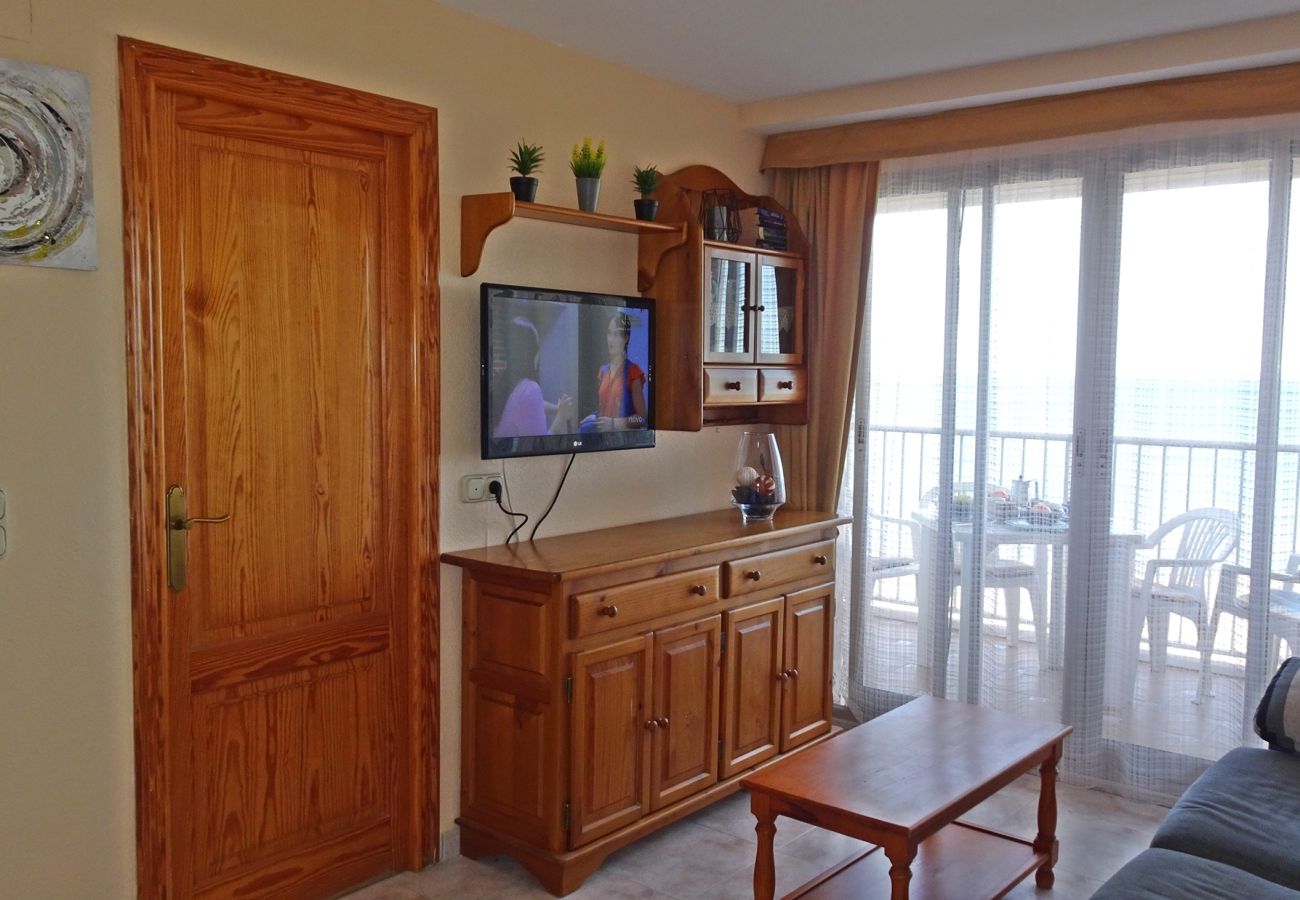 Apartment in Gandía - INFANTE E3 - 10º