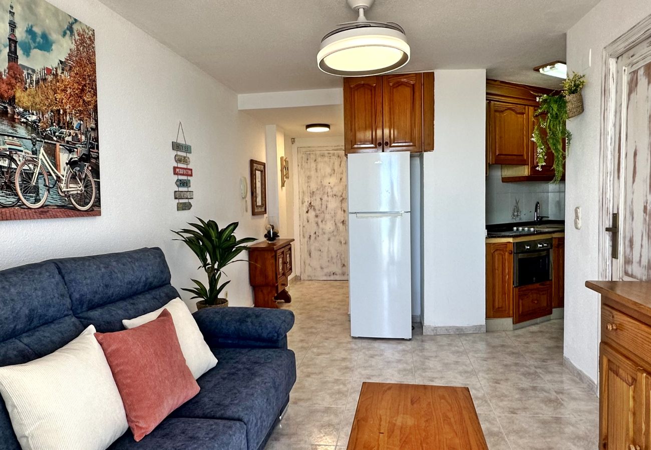 Apartment in Gandía - INFANTE E3 - 10º