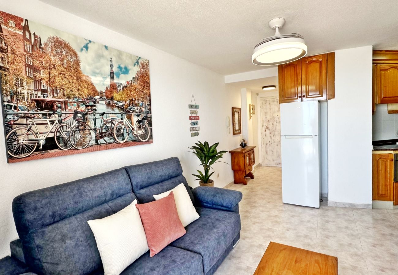 Apartment in Gandía - INFANTE E3 - 10º