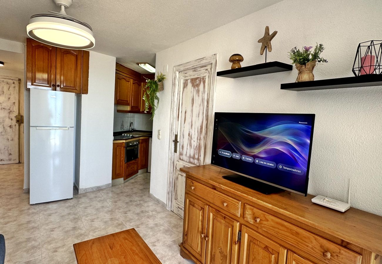 Apartment in Gandía - INFANTE E3 - 10º