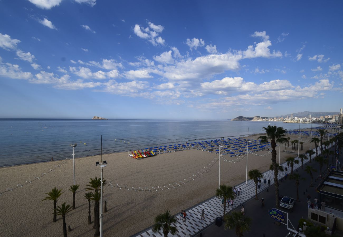 Apartment in Benidorm - CACHIRULO 3A
