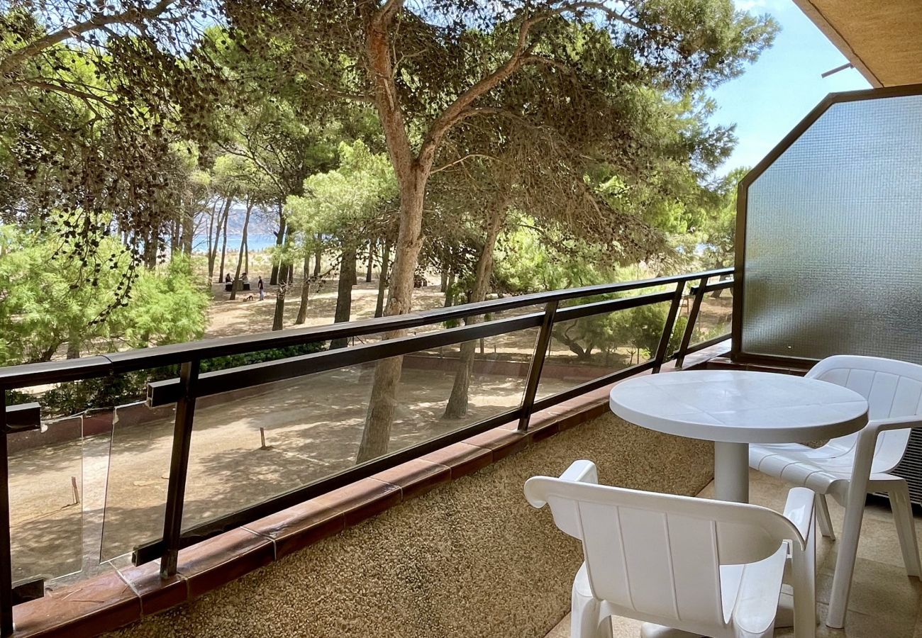 Apartment in Estartit - LA PINEDA 12