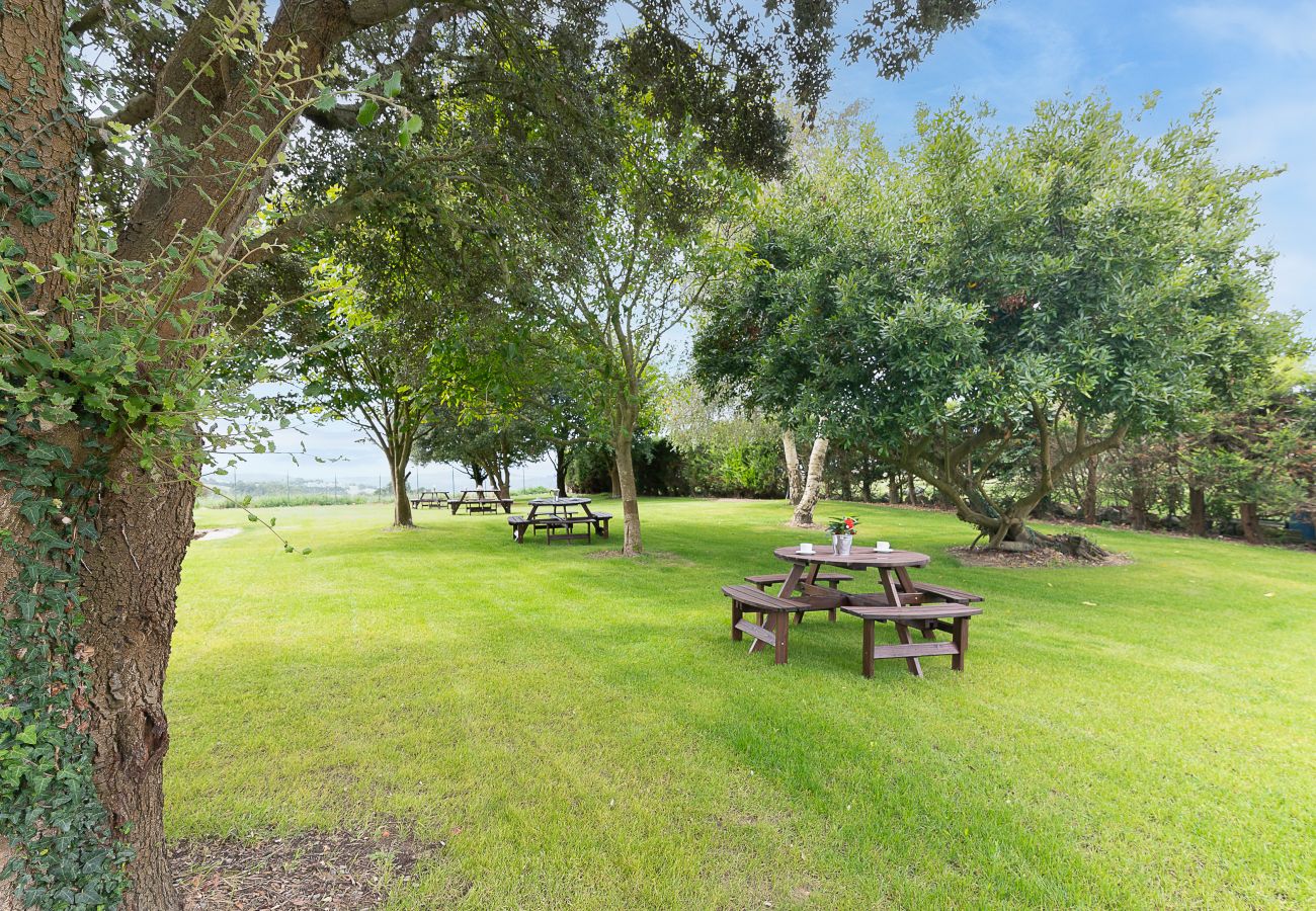 Apartment in Miengo - Infinity Coast III by Fidalsa