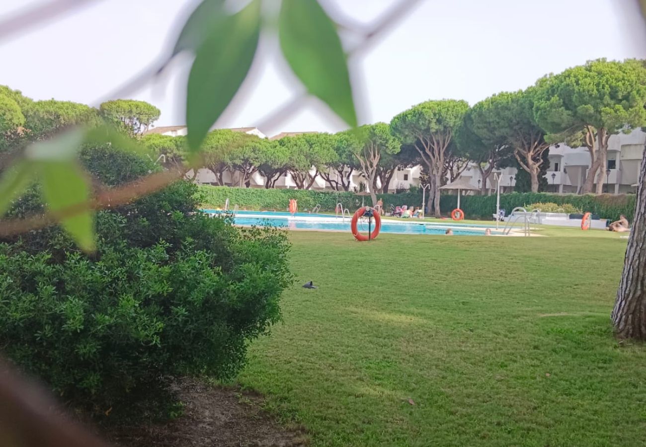 Apartment in Chiclana de la Frontera - R274  Apartamento SalAzul