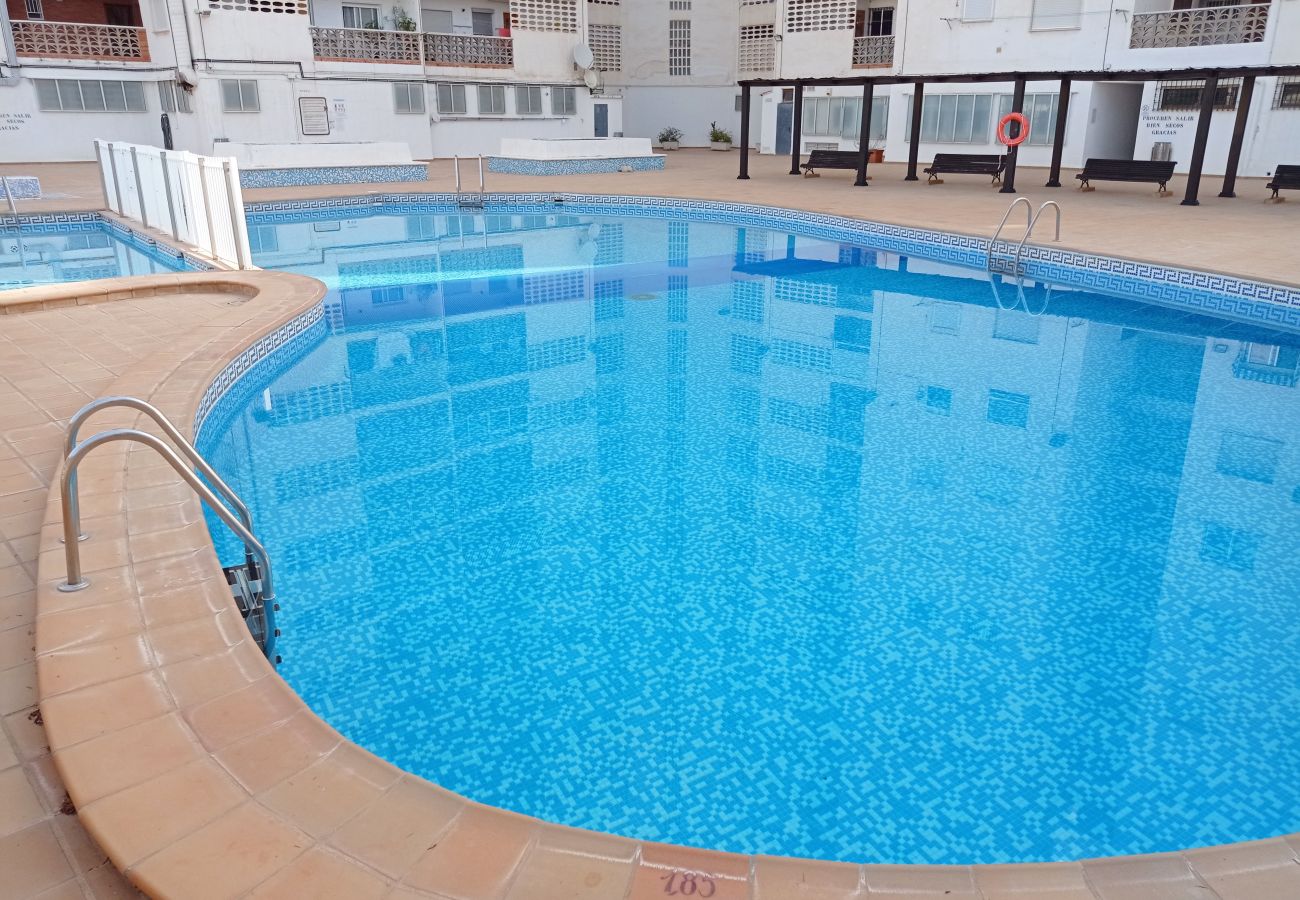 Apartment in Playa de Gandía - 1.Bonaire E6-12º