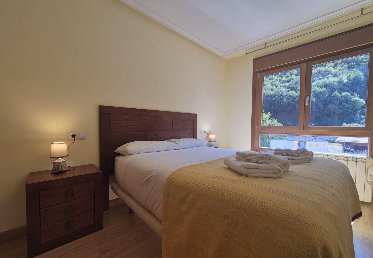 Apartment in Aller - 21A07 Apartamento en Felechosa