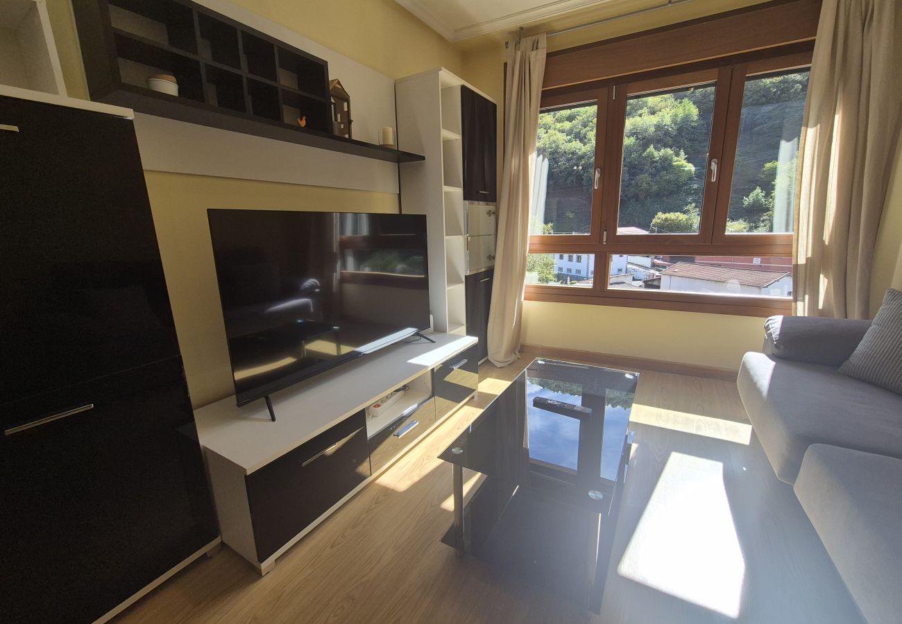 Apartment in Aller - 21A07 Apartamento en Felechosa