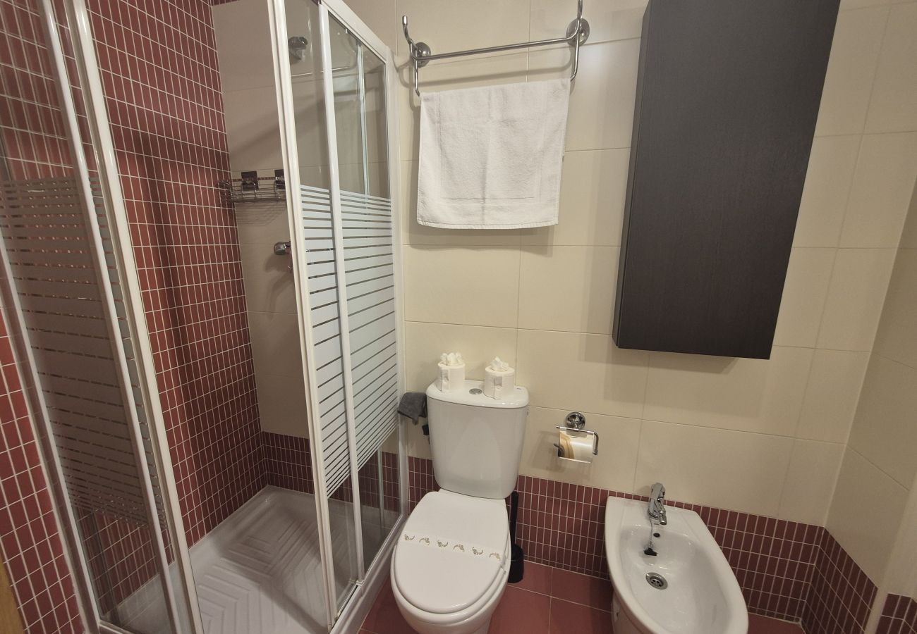 Apartment in Aller - 21A07 Apartamento en Felechosa